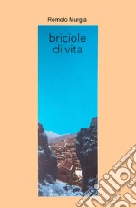 Briciole di vita libro