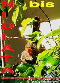 Nidiata bis. Smartphotoromanzo
