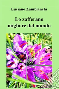 Lo zafferano migliore del mondo. Parola di chef Remy libro