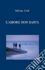 L'amore non basta libro