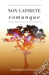 Non capirete comunque