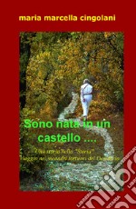 Sono nata in un castello... Una storia nella «Storia». Viaggio nei meandri tortuosi del sesiderio libro