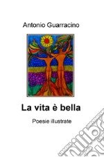 La vita è bella libro