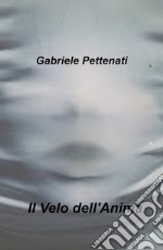 Il velo dell'anima libro