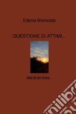 Questione di attimi.... Bim bum bam... libro