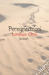 Peregrinazioni libro