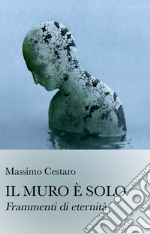 Il muro e solo. Frammenti di eternita libro