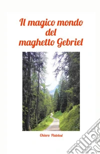Il magico mondo del maghetto Gebriel libro