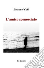 L'amico sconosciuto libro