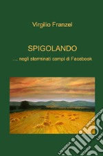 Spigolando... negli sterminati campi di Facebook