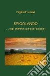 Spigolando... negli sterminati campi di Facebook libro di Franzel Virgilio