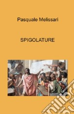 Spigolature libro