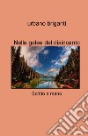 Nelle galee del disincanto. Scritto a mano libro di Briganti Urbano