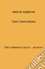 Casi c'ammattunu. Fatti e fattarelli di siculi e ...siculorum libro