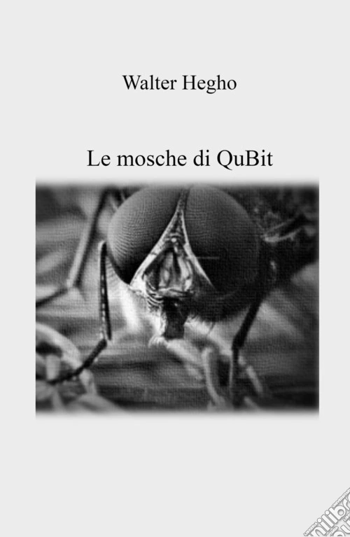 Le mosche di QuBit