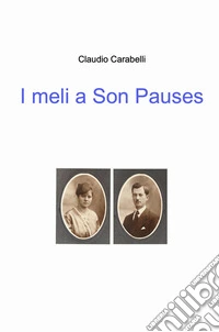 I meli a Son Pauses libro