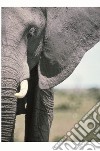 Riflessi d'Africa. Una storia di uomini, sogni, animali, montagne libro di Klingendrath Toni