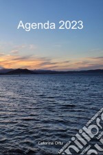 Agenda 2023 libro