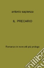 IL precario libro