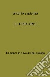 IL precario libro