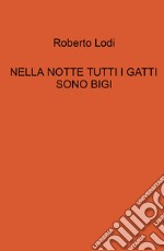 Nella notte tutti i gatti sono bigi libro