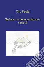 Se tutto va bene andiamo in serie B libro