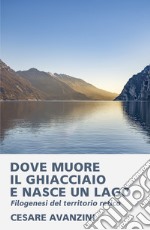 Dove muore il ghiacciaio e nasce un lago. Filogenesi del territorio retico libro