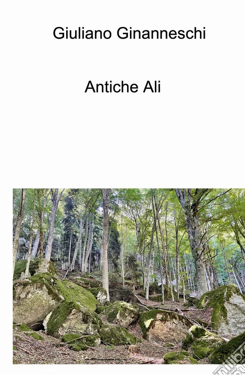 Antiche ali