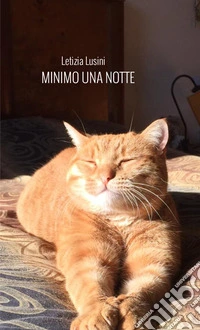 Minimo una notte