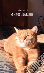 Minimo una notte libro