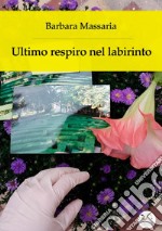 Ultimo respiro nel labirinto