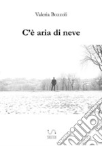 C'è aria di neve libro