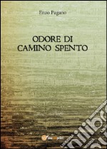 Odore di camino spento libro