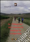 Io, «Pellegrino» sul Cammino di Santiago de Compostela libro di Basta Giuseppe