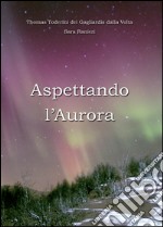 Aspettando l'aurora