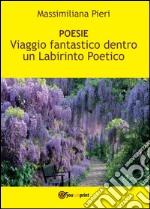 Viaggio fantastico dentro un labirinto poetico