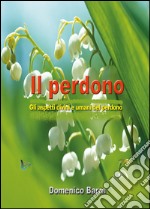 Il perdono. Gli aspetti divini e umani del perdono libro