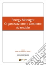 Energy manager. Organizzazione e gestione aziendale libro