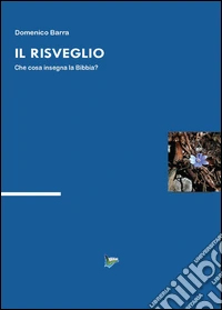 Il risveglio