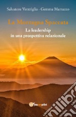 La montagna spaccata: la leadership in una prospettiva relazionale