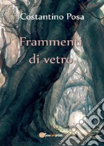 Frammenti di vetro libro