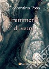 Frammenti di vetro libro