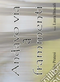 Andavo via a frammenti libro