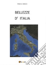 Bellezze d' Italia libro