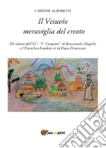 Il Vesuvio meraviglia del creato libro