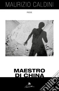 Maestro di china