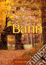 La sorgente del fiume Bann