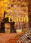 La sorgente del fiume Bann libro di Ingrosso Celeste