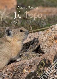 Il topo e la montagna