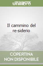 Il cammino del re-siderio libro